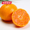 【包邮直发】涌泉高山蜜桔 约10斤/箱（单果约70-80mm） 商品缩略图4