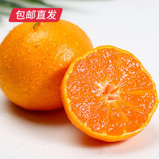 【包邮直发】涌泉高山蜜桔 约10斤/箱（单果约70-80mm） 商品图4
