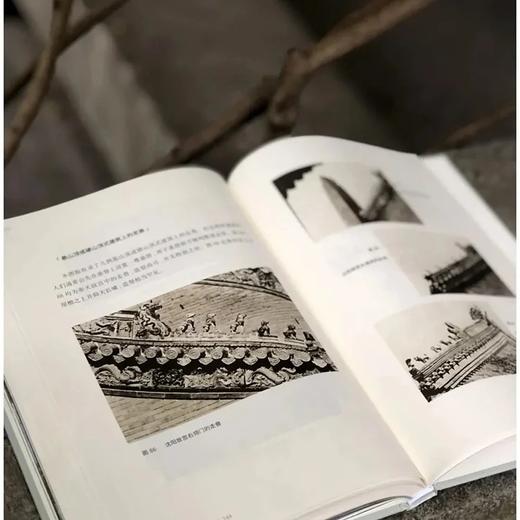 《西洋镜.五脊六兽》，精装，16开 商品图9