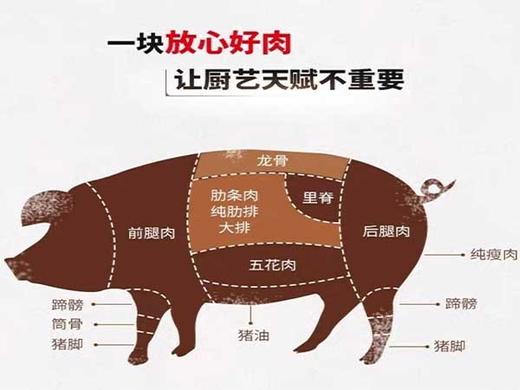 宝宇气调雪猪精肋排 商品图2