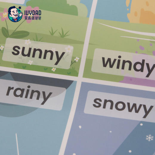 【12张】常小吖英语早教启蒙点读挂图，选词生活化，精准匹配宝宝日常 商品图4