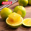 【包邮直发】云南冰糖橙 约5斤/箱（单果约65-70mm） 商品缩略图4