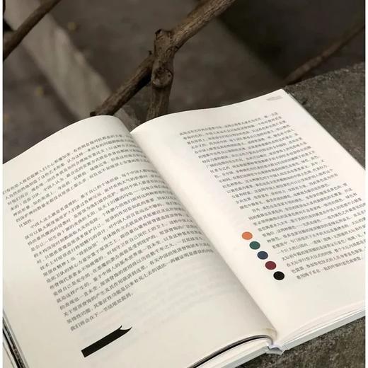 《西洋镜.五脊六兽》，精装，16开 商品图6