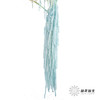永生花材 ｜ 吊米浅蓝 商品缩略图4
