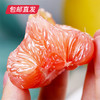 【包邮直发】平和蜜柚 约5斤/箱（2个装） 商品缩略图1