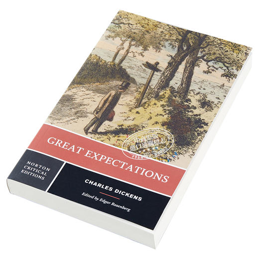 【中商原版】远大前程 诺顿文学解读系列 英文原版 Norton Critical Editions Great Expectations Charles Dickens 商品图2