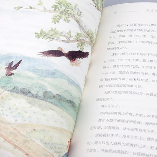 孤独之旅 曹文轩专集 商品图4