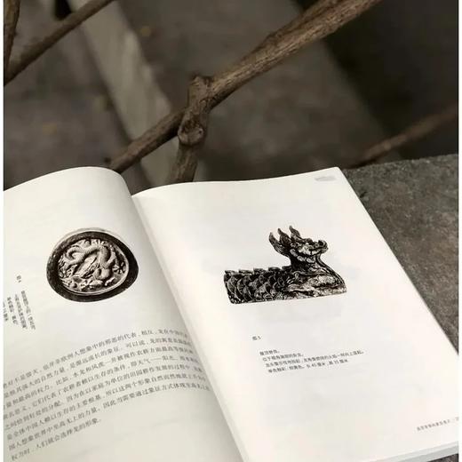 《西洋镜.五脊六兽》，精装，16开 商品图4