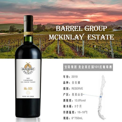 智利麦金莱庄园101红葡萄酒 750ml 商品图1