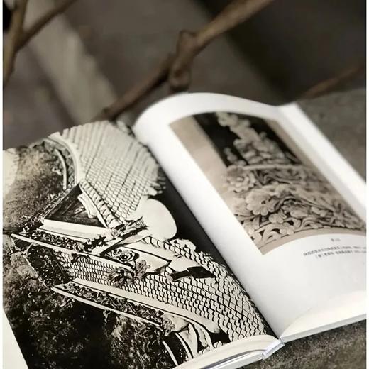 《西洋镜.五脊六兽》，精装，16开 商品图12