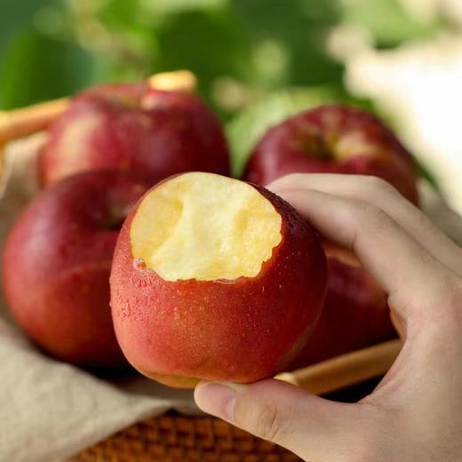 【大凉山冰糖心丑苹果】 5斤左右 离太阳最近的大凉山，国家地理标志产品，外表虽丑内心甜，脆爽多汁，不打蜡不催熟 商品图0