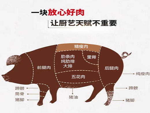 宝宇气调雪猪精瘦肉 商品图3