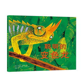 聪明的变色龙 3-6岁 莫温伊•海蒂斯 著 儿童绘本
