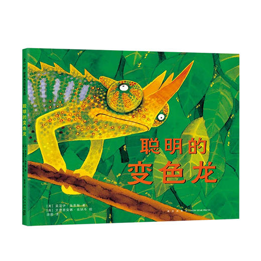 聪明的变色龙 3-6岁 莫温伊•海蒂斯 著 儿童绘本 商品图0