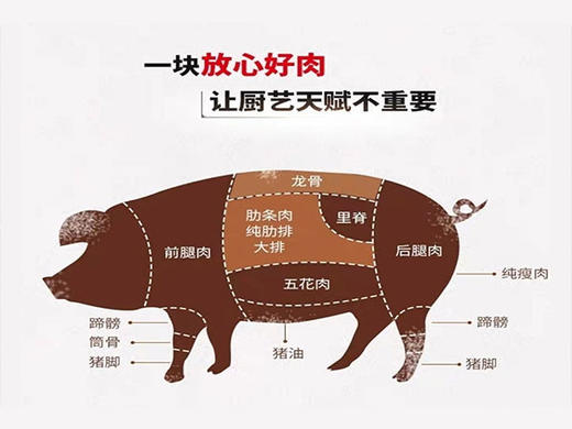 宝宇气调雪猪龙骨 商品图3