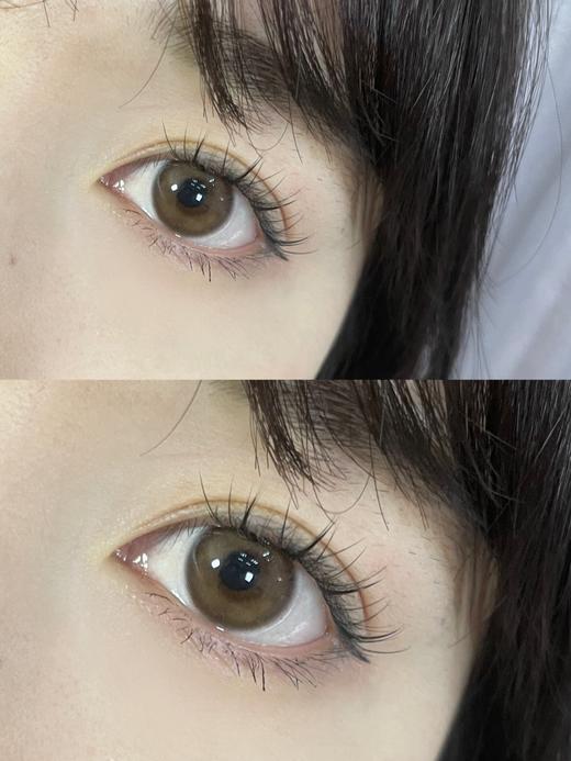 Lilian旗下 · Firefly系列｜萤火虫棕 · 萤火虫灰｜14.2mm中等直径｜年抛｜韩国vocol工厂 商品图10