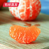【包邮直发】涌泉高山蜜桔 约10斤/箱（单果约70-80mm） 商品缩略图3