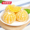 【包邮直发】广西皇帝柑 约5斤/箱 （单果60mm+） 商品缩略图4