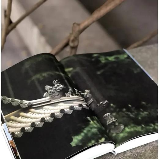 《西洋镜.五脊六兽》，精装，16开 商品图3