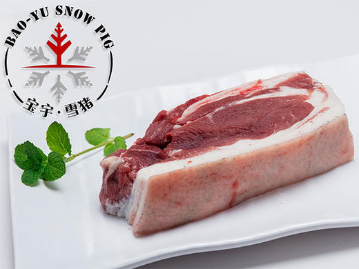 宝宇气调雪猪腿肉 商品图4