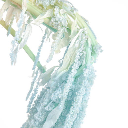 永生花材 ｜ 吊米浅蓝 商品图3