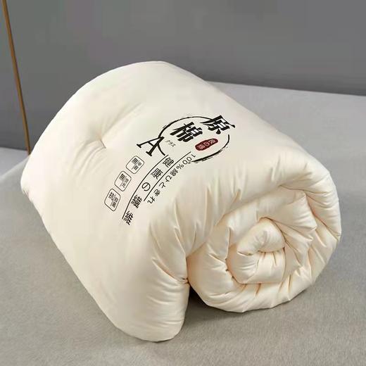 原棉纯棉A类大豆被 商品图3