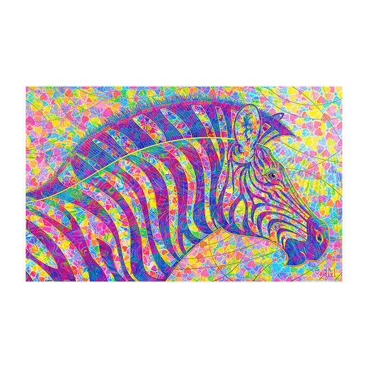 【折扣商品 不退不换】1000片 平面拼图 塑料拼图 H2527 Michael David Ward-花花斑马 商品图0