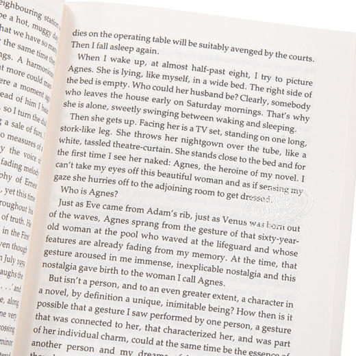 预售 【中商原版】昆德拉 不朽 英文版 英文原版 Immortality 米兰 昆德拉 作品 文学 小说 书 费伯小说 商品图4