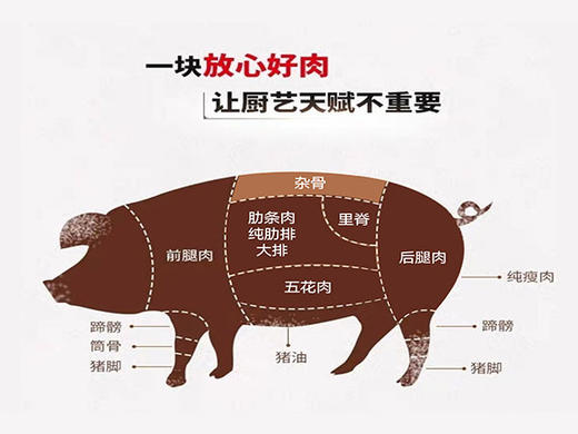 宝宇气调雪猪杂骨 商品图3