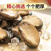 【顺丰包邮】青岛新鲜冷冻自制特产本地鲍鱼（8-9头/500g/袋  *2袋） 商品缩略图0