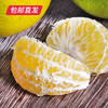 【包邮直发】广西皇帝柑 约5斤/箱 （单果60mm+） 商品缩略图3