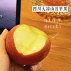 【大凉山冰糖心丑苹果】 5斤左右 离太阳最近的大凉山，国家地理标志产品，外表虽丑内心甜，脆爽多汁，不打蜡不催熟 商品缩略图2