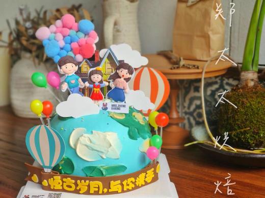 飞屋环游记加高款 商品图0