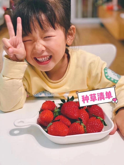 不曾入眼 何以入心 正宗丹东草莓🍓，完熟甜糯不空心！小时候的草莓味道，自然香浓～ 商品图14