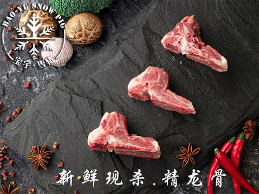 宝宇气调雪猪龙骨 商品图0