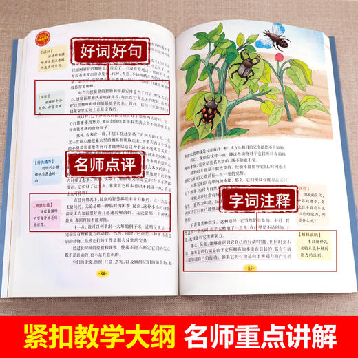 【人生必读】法布尔昆虫记正版原著完整版小学生三年级四年级课外书必读五六年级阅读书籍老师推荐非注音版经典文学青少版故事书 商品图1