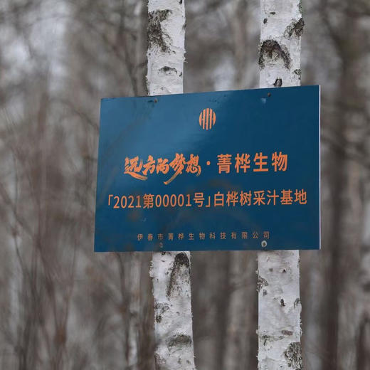 【 25年升级版桦树汁喷雾】天然温和不刺激 小分子滋润爽肤水 保湿镇静 植物玻尿酸 不含矿泉水 0添加 敏感肌、孕妇均可使用 商品图3