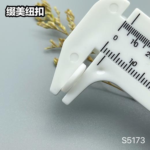 S5173(整包购买) 商品图6