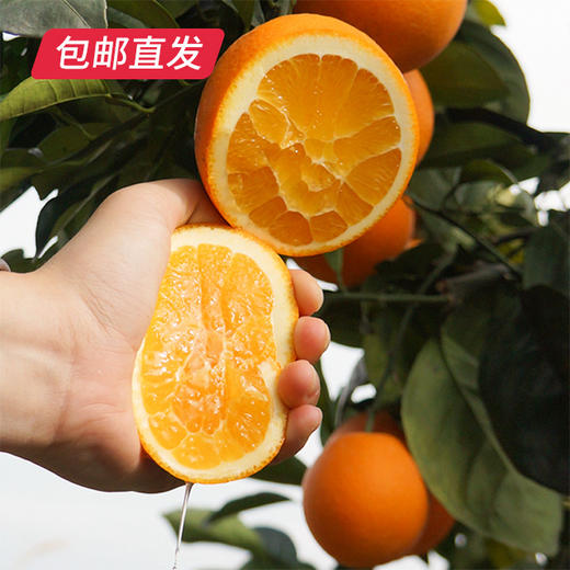 【包邮直发】赣南橙精品装 约10斤/箱（单果约75-85mm） 商品图3