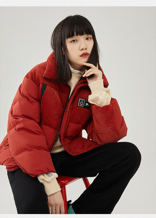 雪中飞羽绒服2021秋冬新款复古时尚拼接立领羽绒服X10140630G 商品图0