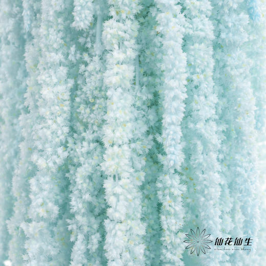 永生花材 ｜ 吊米浅蓝 商品图1