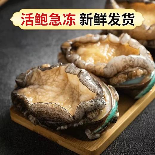 【顺丰包邮】青岛新鲜冷冻自制特产本地鲍鱼（8-9头/500g/袋  *2袋） 商品图2