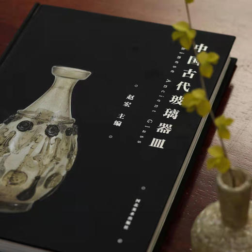 《中国古代玻璃器皿》 商品图3