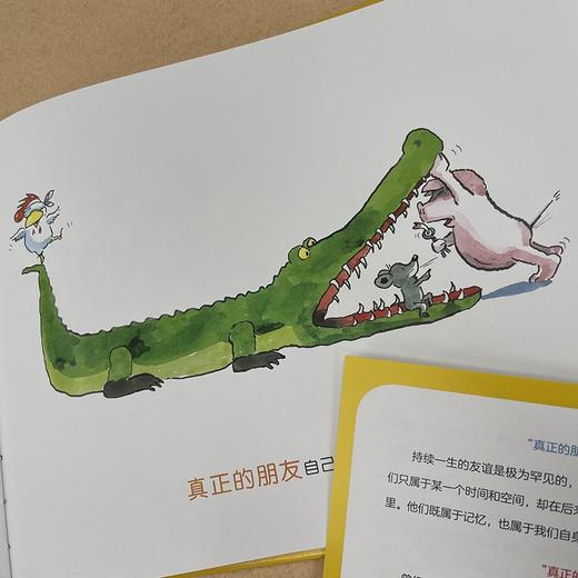 真正的朋友 3-6岁 揭示友谊的真谛 亲子阅读书籍 儿童绘本 商品图2