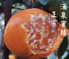 涌泉蜜橘蜜桔4.5-5斤装 商品缩略图14