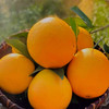 【赣南脐橙  4.5斤】| 肉质鲜嫩，浓郁橙香味，甜酸适中，一口饱满多汁，从舌尖到心尖的惬意满足 商品缩略图3