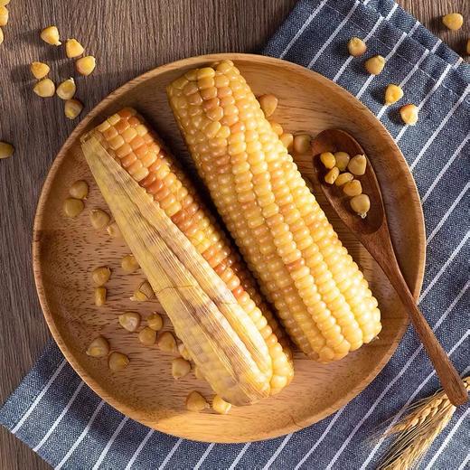 云南版纳香糯小玉米  加热即食（4斤装） 商品图4