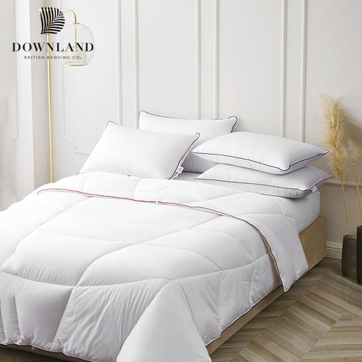 预售|Downland  Clima控温平衡被轻薄款 200*230cm [福利品] 商品图0