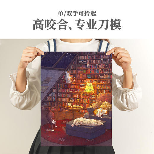 TOI图益书型盒拼图系列500片成年人减压解闷玩具 商品图2