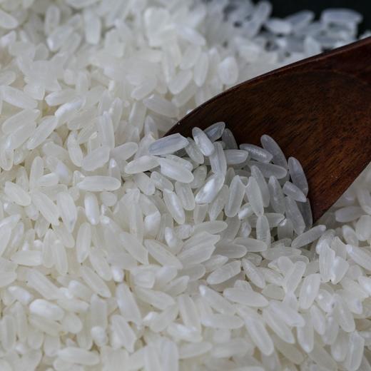 正宗稻花香2号 五常大米（从磨米到收货不超15天） 商品图6